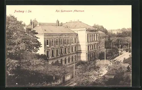 AK Freiberg i. Sa., Kgl. Gymnasium Albertinum