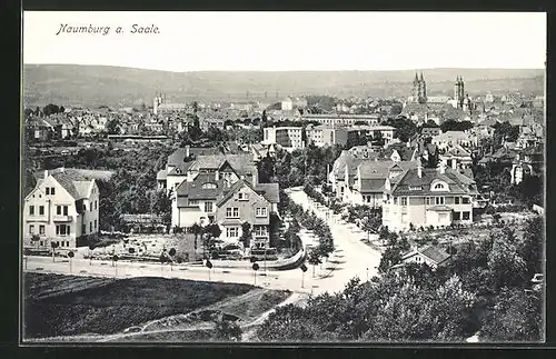 AK Naumburg a. Saale, Totalansicht der Stadt