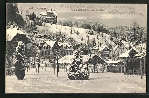 AK Bad Liebenzell, König Wilhelm-Anlagen im Winter