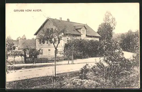 AK Moritzburg, Gasthaus Zum Auer