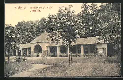 AK Kreischa, Sanatorium Dr. Krapf, Liegehalle