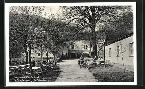 AK Scharfenberg b. Meissen, Elbgasthof und Schloss