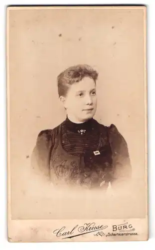 Fotografie Carl Kruse, Burg, Schartauer-Strasse 4, Portrait junge Dame im Kleid