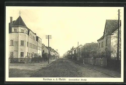 AK Nerchau a. d. Mulde, Gornewitzer Strasse mit Telegraphenmast