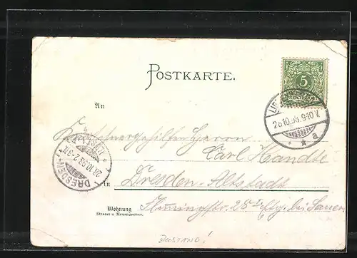 Lithographie Liebenwerda, Restaurant Schweizerhaus, Rathaus, Postamt, Schloss und Amtsgericht