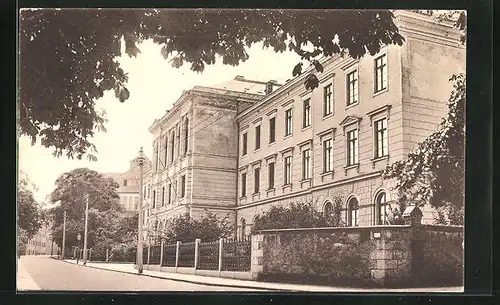 AK Freiberg i. Sa., Strasse am Gymnasium Albertinum