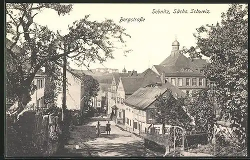 AK Sebnitz i. Sa., Bergstrasse im Ort