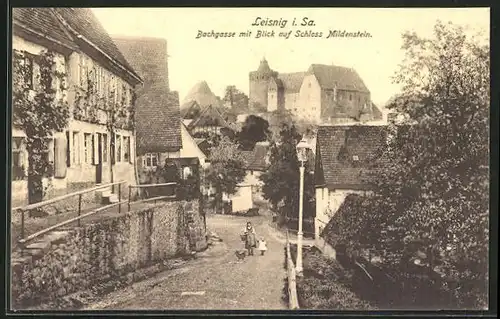 AK Leisnig i. Sa., Strasse bei der Bachgasse mit Blick auf Schloss Mildenstein