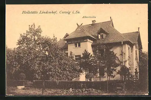 AK Coswig i. Sa., Heilstätte Lindenhof, Albertvilla