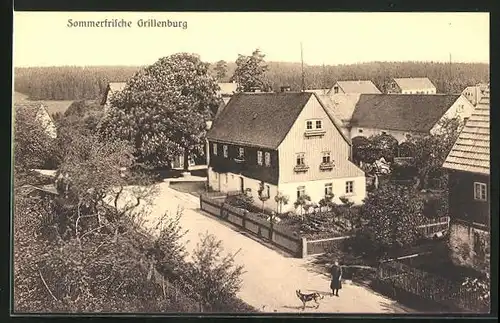 AK Grillenburg, Ortsansicht mit Strassenpartie