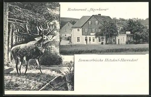 AK Hetzdorf-Herrndorf, Restaurant Jägerhorn mit Hirsch