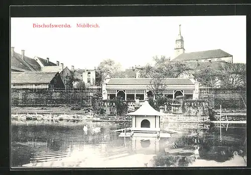 AK Bischofswerda, Mühlteich mit Kirchturm