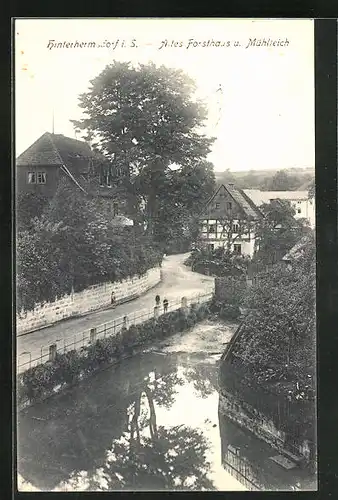 AK Hinterhermsdorf i. S., Altes Forsthaus u. Mühlteich