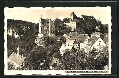 Foto-AK Walter Hahn, Dresden, Nr. 3218: Hohnstein /Elbe, Burg Hohnstein