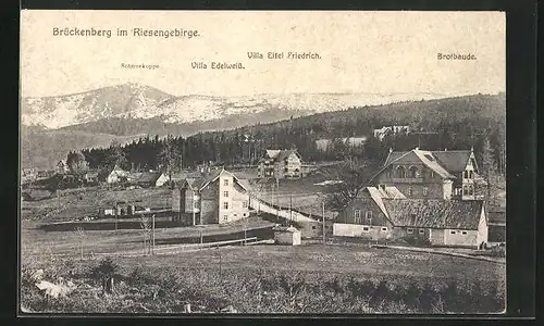 AK Brückenberg, Ortsansicht mit Villa Edelweiss, Villa Eitel Friedrich & Brotbaude