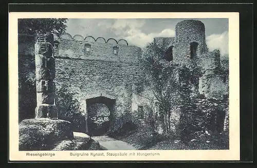 AK Kynast, Burgruine Kynast, Staupsäule mit Hungerturm