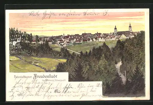 AK Freudenstadt / Schwarzwald, Panorama