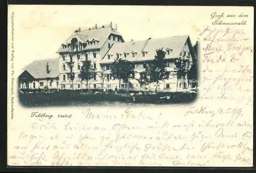 AK Feldberg / Schwarzwald, Partie am Gasthaus
