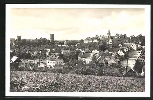 AK Kohren, Blick von der Bergwiese