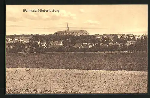 AK Wermsdorf-Hubertusburg, Gesamtansicht