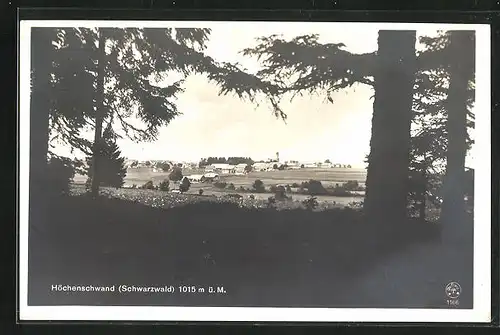 AK Höchenschwand / Schwarzwald, Panoramablick zum Ort