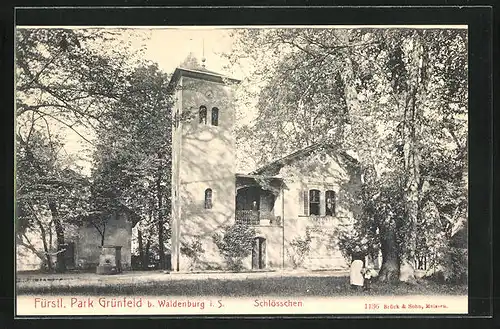 AK Waldenburg i. S., Schlösschen im Fürstl. Park Grünfeld