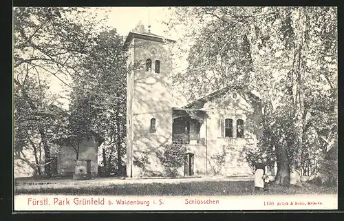 AK Waldenburg i. S., Schlösschen im Fürstl. Park Grünfeld