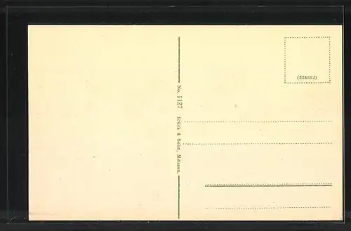 AK Waldenburg i. S., Panoramablick vom Schlossturm