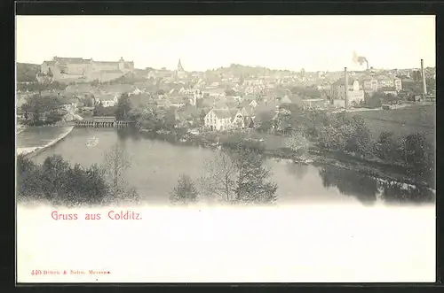 AK Colditz i. Sa., Gesamtansicht