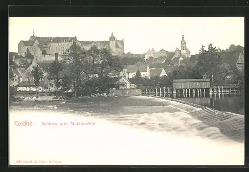 AK Colditz i. Sa., Schloss und Muldenwehr