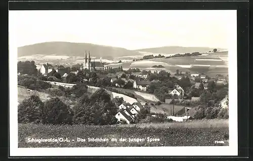 AK Schirgiswalde, Panoramablick auf die Stadt