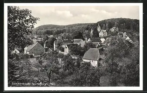 AK Tautenburg / Thüringen, Gesamtansicht