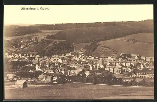 AK Olbernhau / Erzgeb., Panoramablick von der Bergwiese
