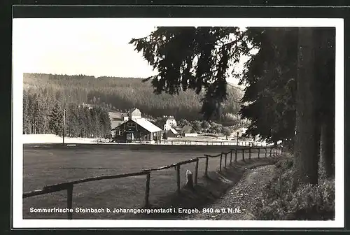 AK Steinbach / Erzgeb., Teilansicht