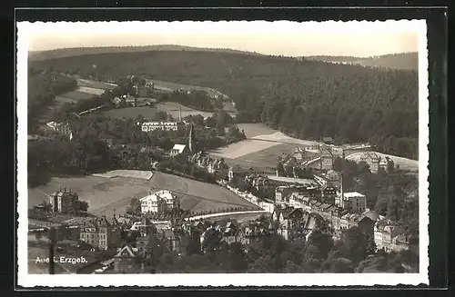 AK Aue / Erzgeb., Panorama