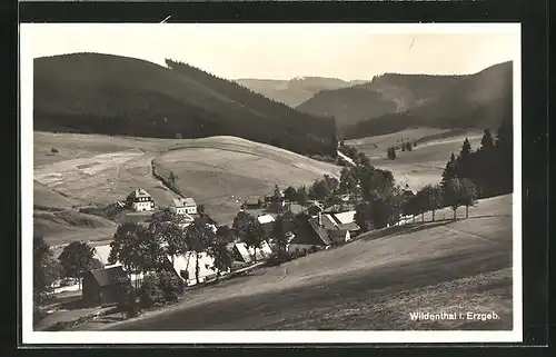 AK Wildenthal / Erzgeb., Blick von der Bergwiese