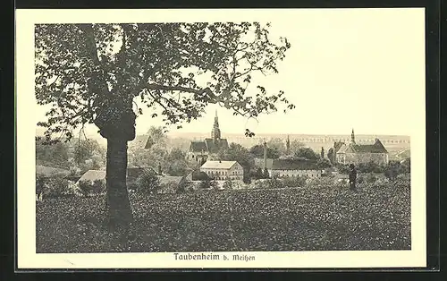 AK Taubenheim, Panoramablick auf den Ort