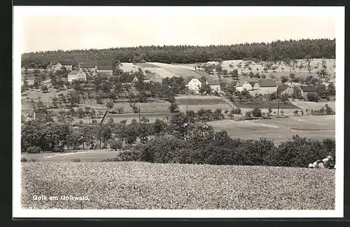 AK Golk am Golkwald, Blick von der Bergwiese