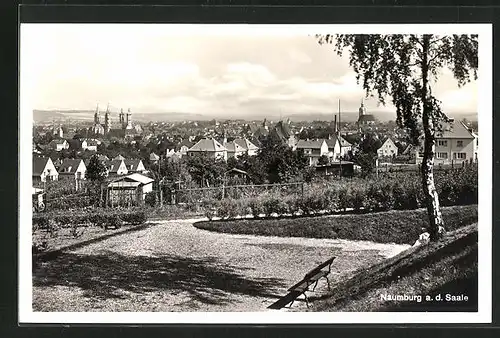 AK Naumburg / Saale, Panoramablick auf die Stadt