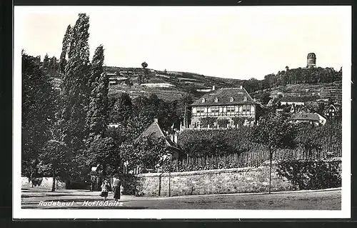 AK Radebeul-Hoflössnitz, Teilansicht
