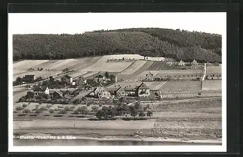 AK Diesbar-Nieschütz / Elbe, Panorama