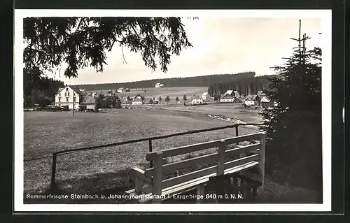 AK Steinbach / Erzgebirge, Totalansicht