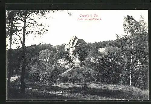 AK Coswig i. Sa., Partie am Spitzgrund