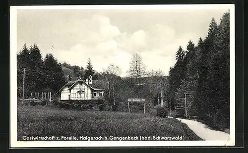 AK Haigerach /Schwarzwald, Gastwirtschaft z. Forelle