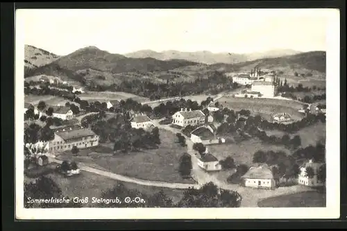 Künstler-AK Gross Steingrub, Panorama