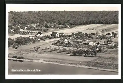 AK Diesbar-Nieschütz a.d. Elbe, Panorama