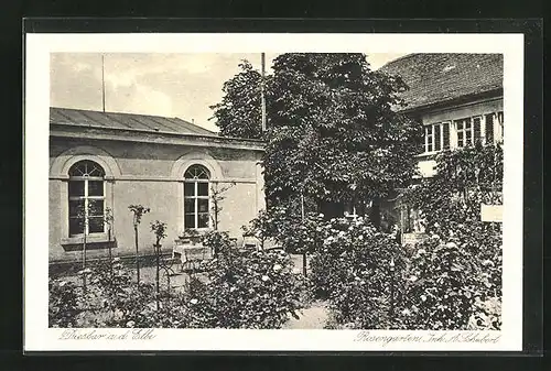 AK Diesbar / Elbe, im Rosengarten von A. Schubert