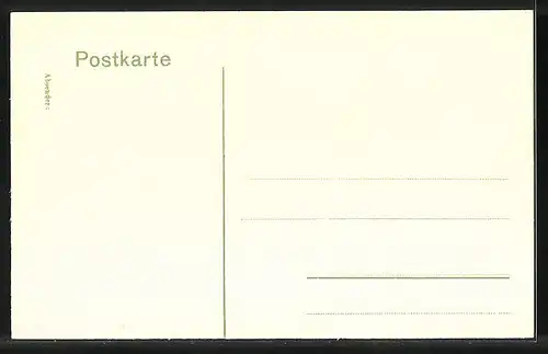 AK Naumburg / Saale, Markt mit Rathaus und Loewen-Apotheke