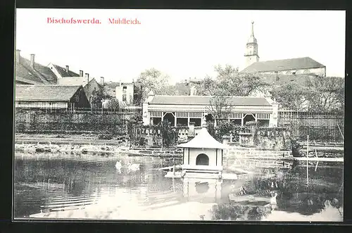 AK Bischofswerda, am Mühlteich