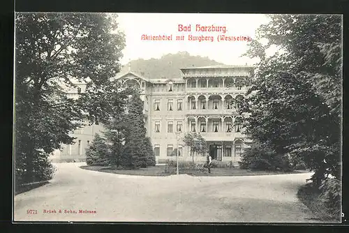 AK Bad Harzburg, Aktienhotel mit Burgberg